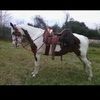 0227bertin